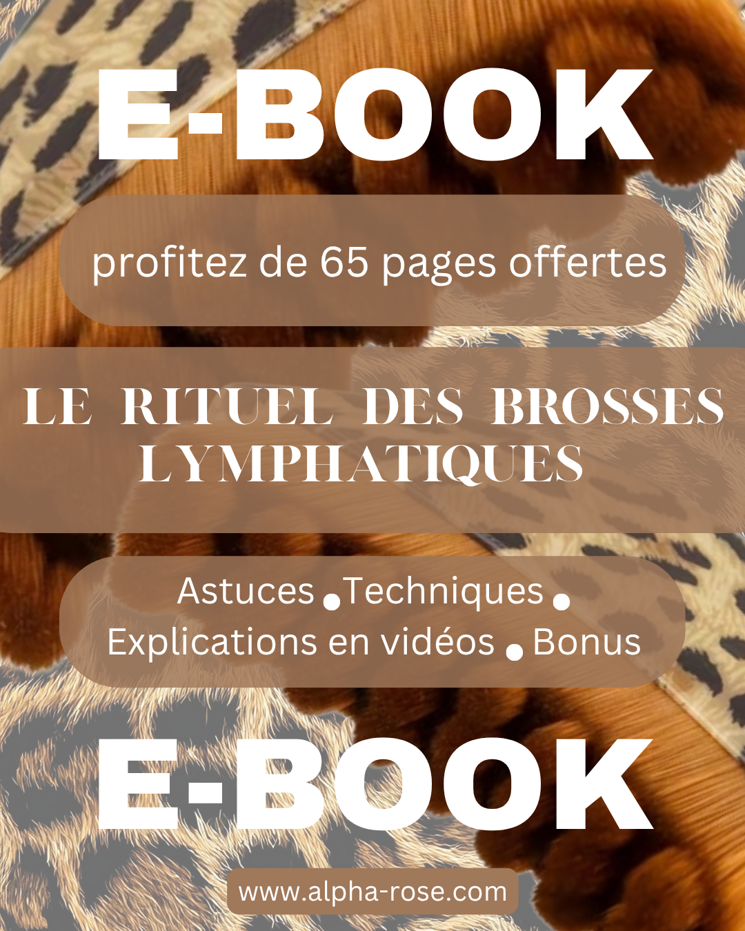 2 Brosses Lymphatiques Alpha Rose & E-Book Offert
